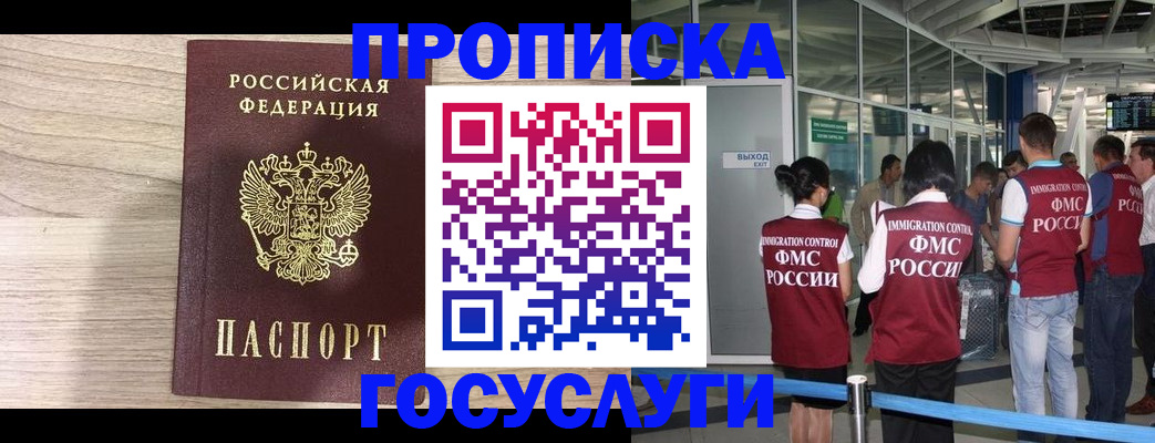пропишу в квартире в Новосибирске